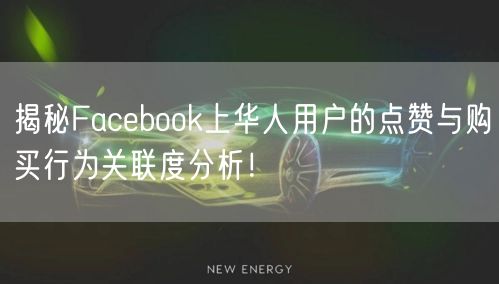 揭秘Facebook上华人用户的点赞与购买行为关联度分析！
