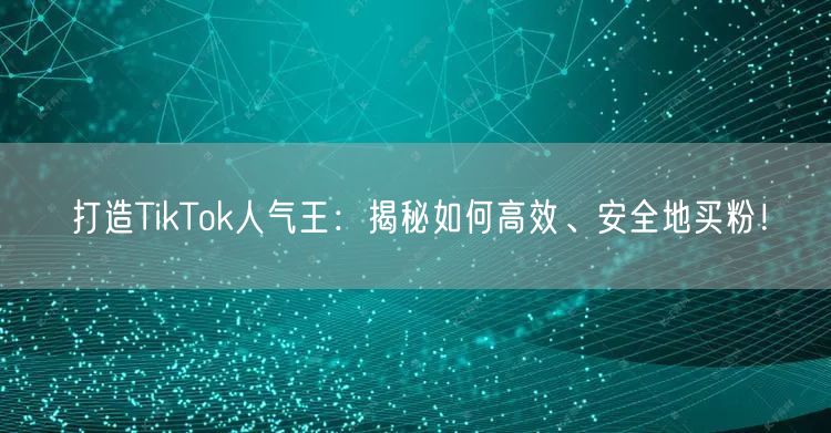 打造TikTok人气王：揭秘如何高效、安全地买粉！