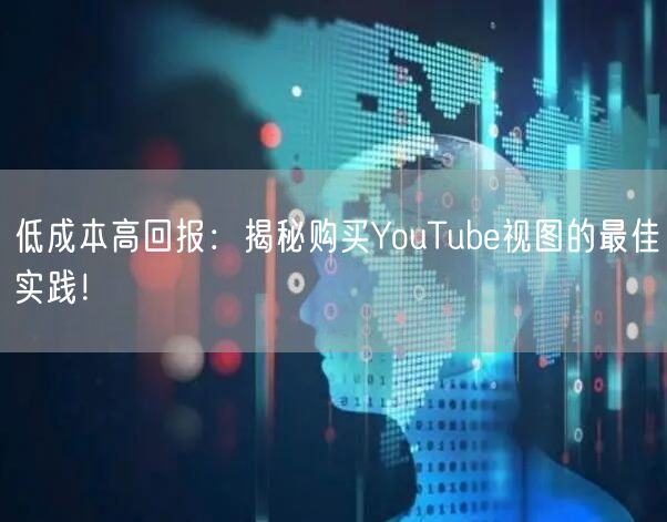 低成本高回报：揭秘购买YouTube视图的最佳实践！