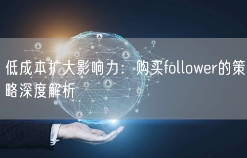 低成本扩大影响力：购买follower的策略深度解析