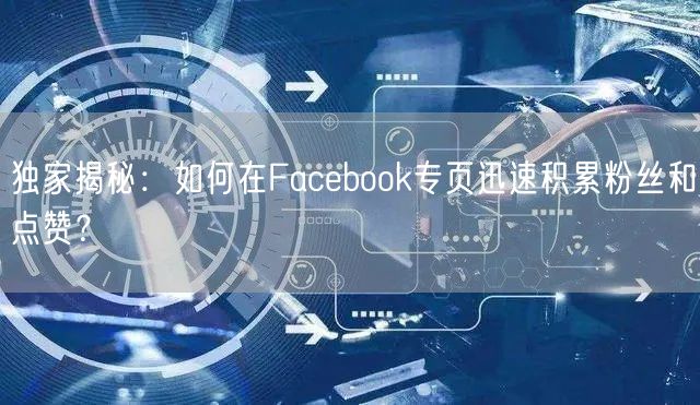 独家揭秘：如何在Facebook专页迅速积累粉丝和点赞？