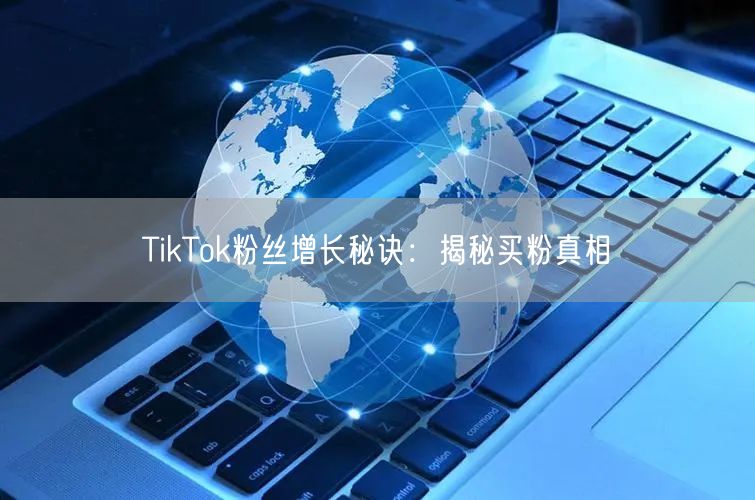 TikTok粉丝增长秘诀：揭秘买粉真相