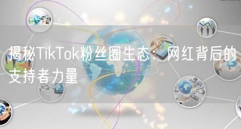揭秘TikTok粉丝圈生态：网红背后的支持者力量