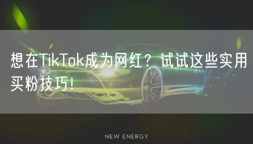 想在TikTok成为网红？试试这些实用买粉技巧！
