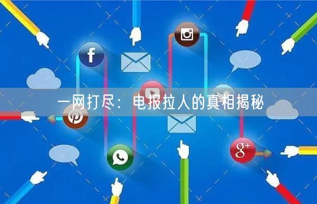 一网打尽：电报拉人的真相揭秘