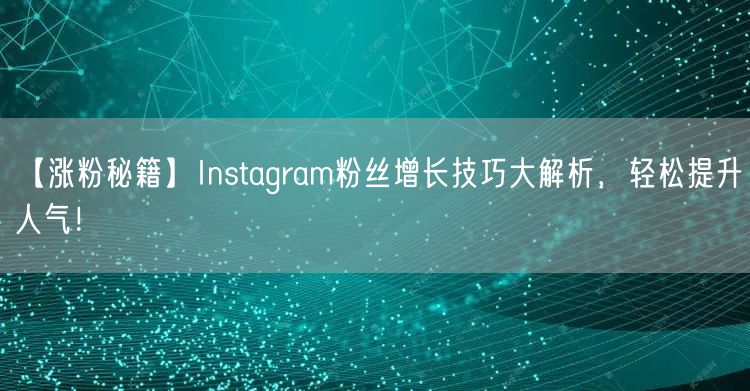 【涨粉秘籍】Instagram粉丝增长技巧大解析，轻松提升人