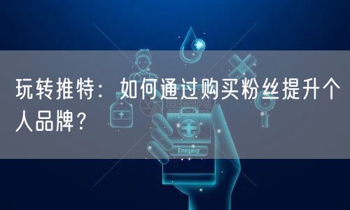 玩转推特：如何通过购买粉丝提升个人品牌？