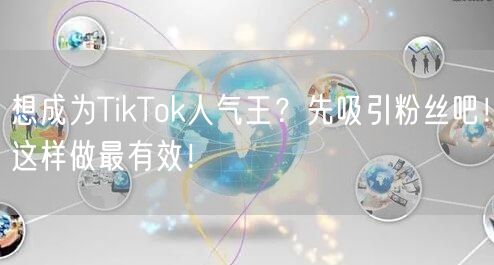 想成为TikTok人气王？先吸引粉丝吧！这样做最有效！