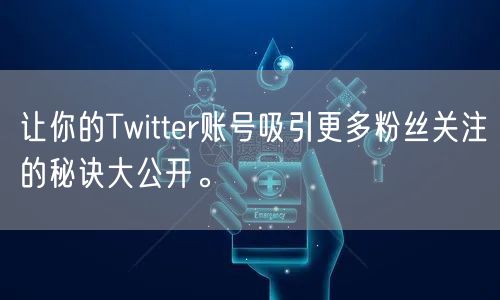 让你的Twitter账号吸引更多粉丝关注的秘诀大公开。