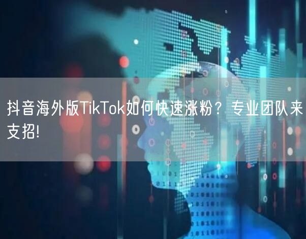 抖音海外版TikTok如何快速涨粉？专业团队来支招!