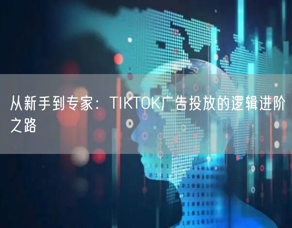 从新手到专家：TIKTOK广告投放的逻辑进阶之路