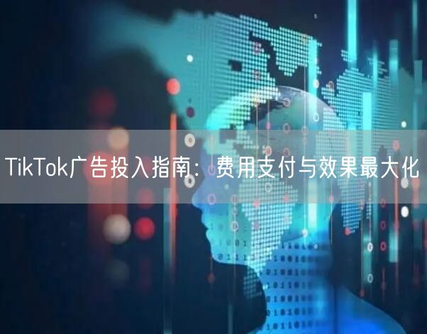 TikTok广告投入指南：费用支付与效果最大化