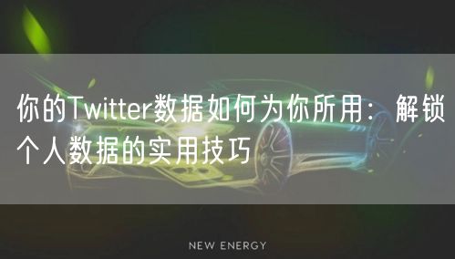 你的Twitter数据如何为你所用：解锁个人数据的实用技巧