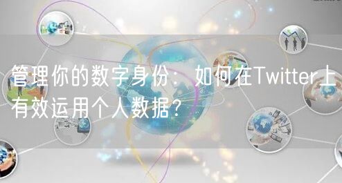 管理你的数字身份：如何在Twitter上有效运用个人数据？