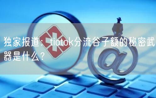 独家报道：tiotok分流谷子额的秘密武器是什么？