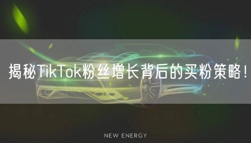 揭秘TikTok粉丝增长背后的买粉策略！
