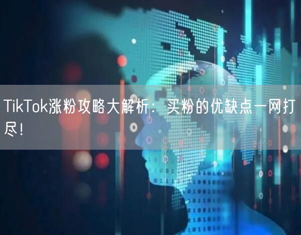 TikTok涨粉攻略大解析：买粉的优缺点一网打尽！