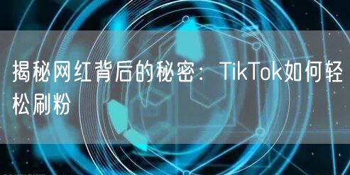 揭秘网红背后的秘密：TikTok如何轻松刷粉
