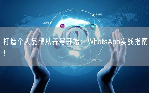 打造个人品牌从养号开始：WhatsApp
