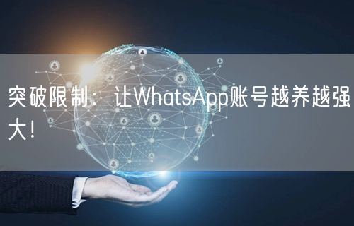 突破限制：让WhatsApp账号越养越强