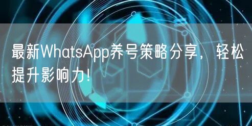 最新WhatsApp养号策略分享，轻松提