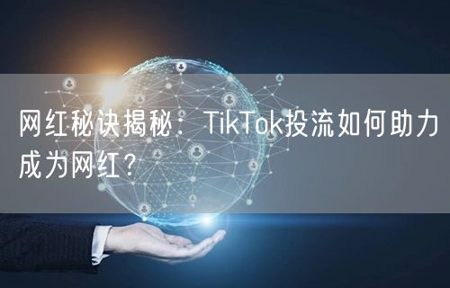 网红秘诀揭秘：TikTok投流如何助力成