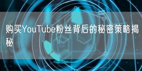 购买YouTube粉丝背后的秘密策略揭秘